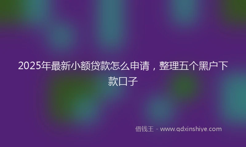 2025年最新小额贷款怎么申请，整理五个黑户下款口子