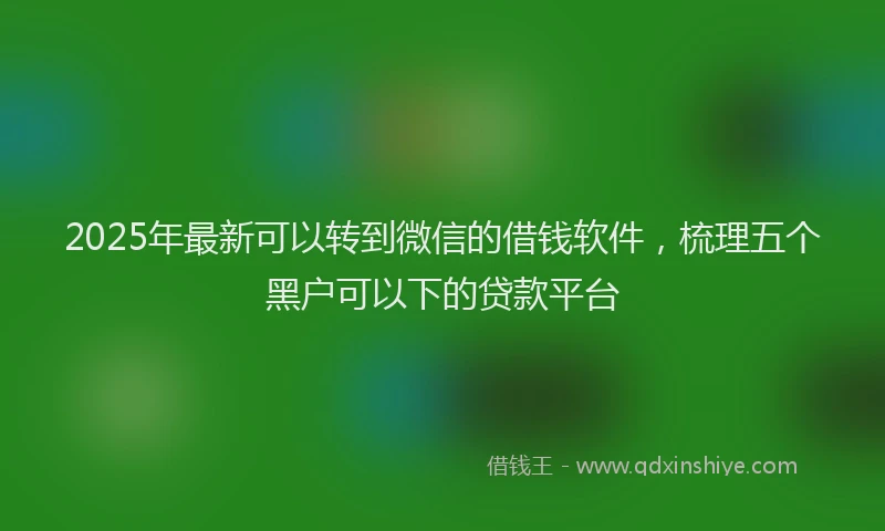 2025年最新可以转到微信的借钱软件，梳理五个黑户可以下的贷款平台