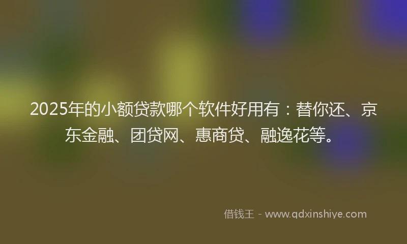2025年的小额贷款哪个软件好用有：替你还、京东金融、团贷网、惠商贷、融逸花等。