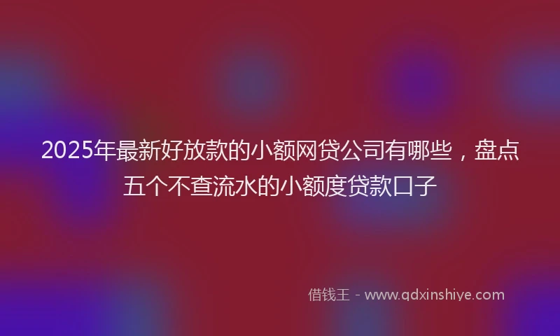 2025年最新好放款的小额网贷公司有哪些，盘点五个不查流水的小额度贷款口子