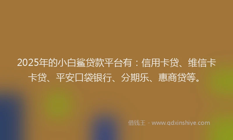 2025年的小白鲨贷款平台有：信用卡贷、维信卡卡贷、平安口袋银行、分期乐、惠商贷等。