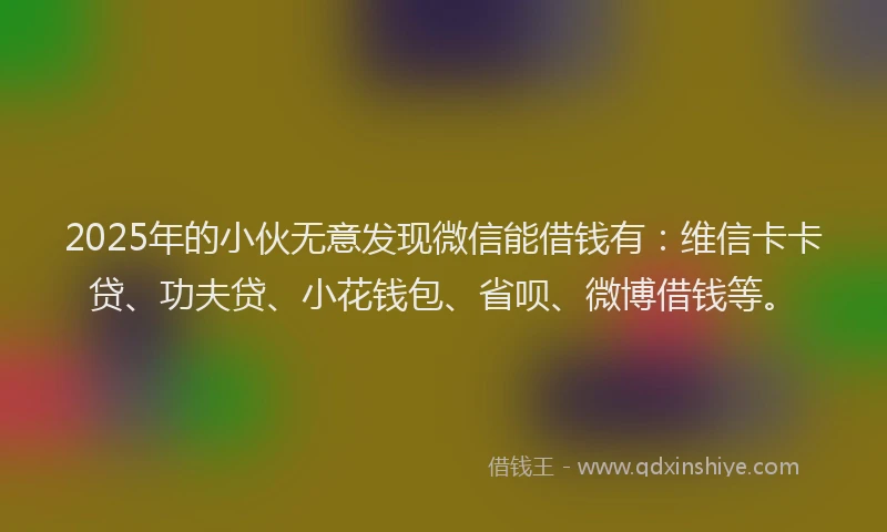 2025年的小伙无意发现微信能借钱有：维信卡卡贷、功夫贷、小花钱包、省呗、微博借钱等。