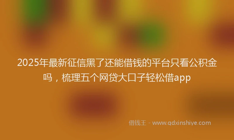 2025年最新征信黑了还能借钱的平台只看公积金吗，梳理五个网贷大口子轻松借app