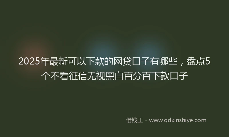 2025年最新可以下款的网贷口子有哪些，盘点5个不看征信无视黑白百分百下款口子