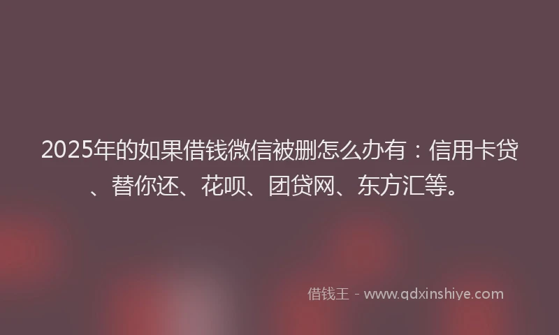 2025年的如果借钱微信被删怎么办有：信用卡贷、替你还、花呗、团贷网、东方汇等。