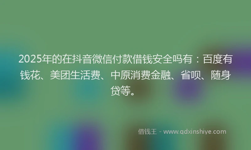 2025年的在抖音微信付款借钱安全吗有：百度有钱花、美团生活费、中原消费金融、省呗、随身贷等。