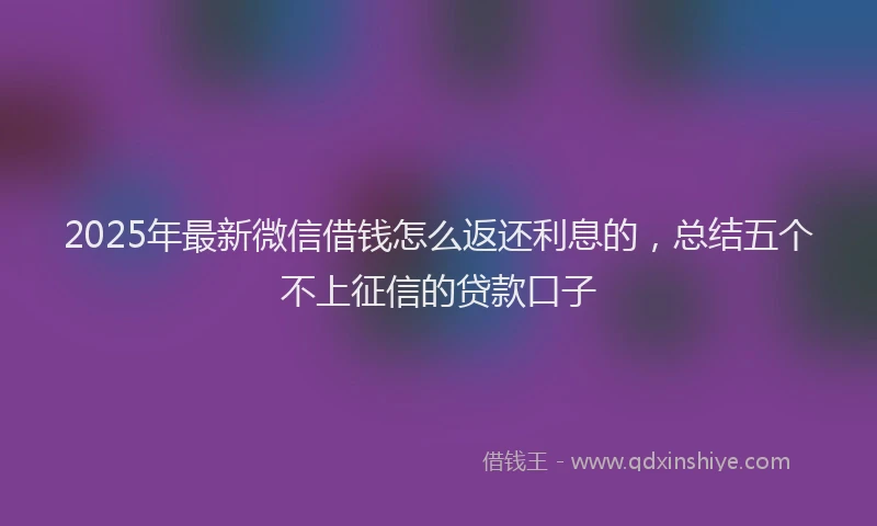 2025年最新微信借钱怎么返还利息的，总结五个不上征信的贷款口子