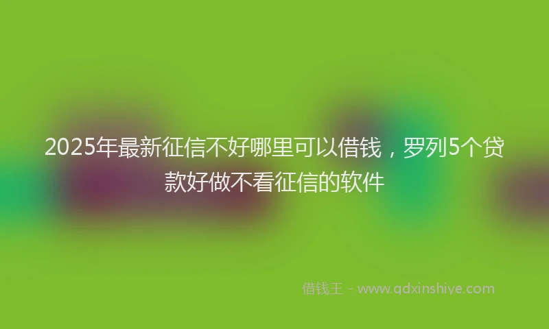 2025年最新征信不好哪里可以借钱，罗列5个贷款好做不看征信的软件