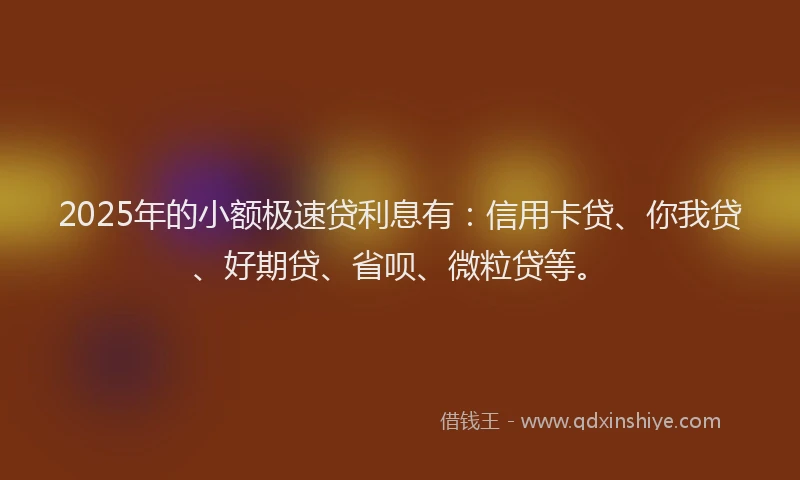 2025年的小额极速贷利息有：信用卡贷、你我贷、好期贷、省呗、微粒贷等。