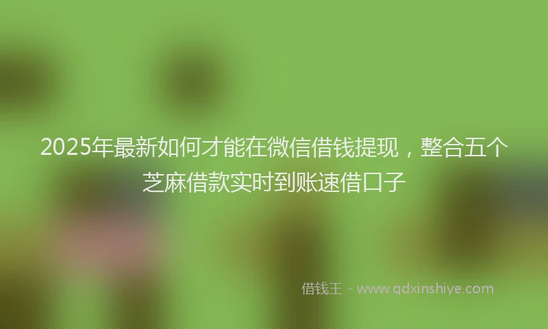 2025年最新如何才能在微信借钱提现，整合五个芝麻借款实时到账速借口子