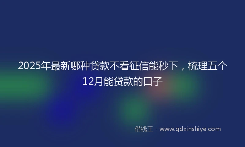 2025年最新哪种贷款不看征信能秒下，梳理五个12月能贷款的口子