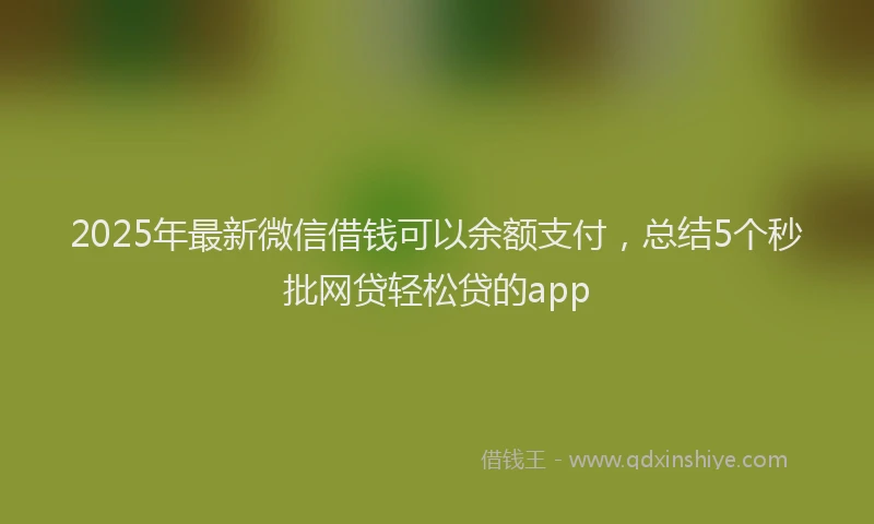 2025年最新微信借钱可以余额支付，总结5个秒批网贷轻松贷的app