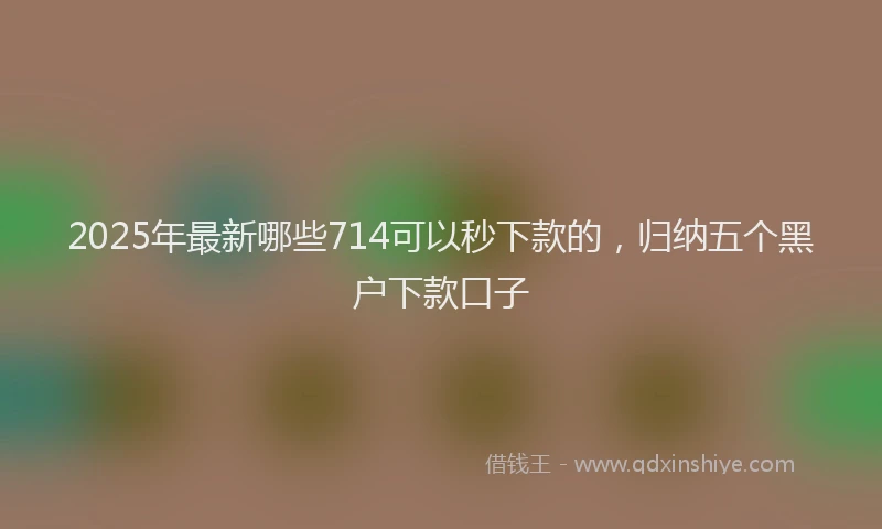 2025年最新哪些714可以秒下款的，归纳五个黑户下款口子