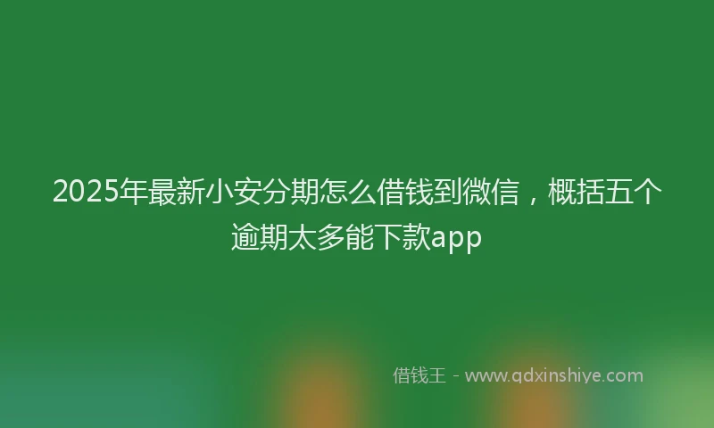 2025年最新小安分期怎么借钱到微信，概括五个逾期太多能下款app