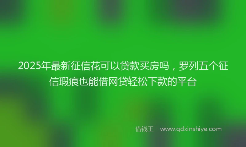 2025年最新征信花可以贷款买房吗，罗列五个征信瑕疵也能借网贷轻松下款的平台