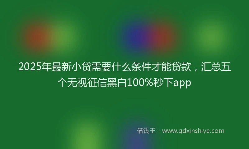 2025年最新小贷需要什么条件才能贷款，汇总五个无视征信黑白100%秒下app