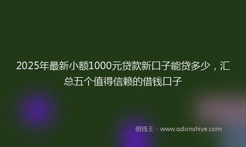 2025年最新小额1000元贷款新口子能贷多少，汇总五个值得信赖的借钱口子