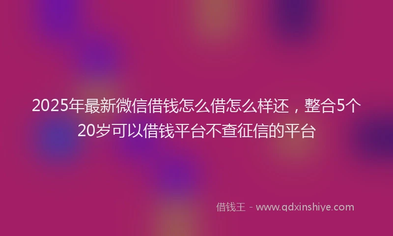 2025年最新微信借钱怎么借怎么样还，整合5个20岁可以借钱平台不查征信的平台