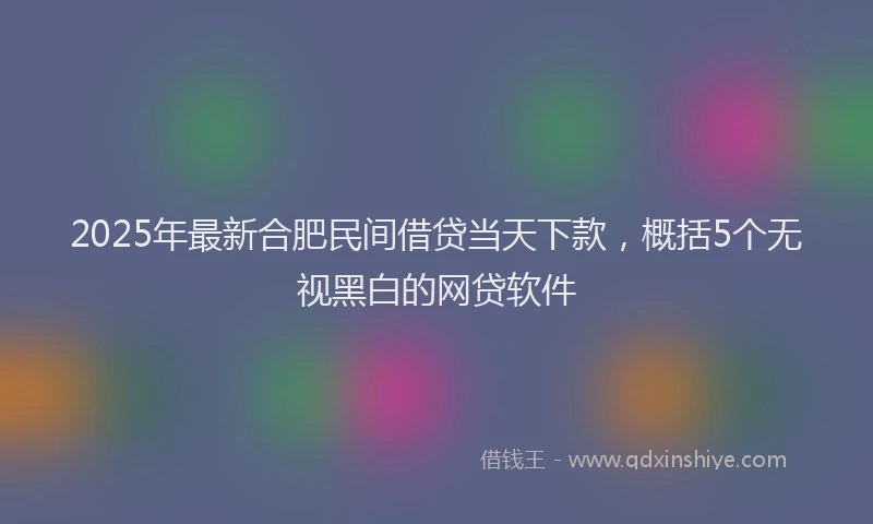 2025年最新合肥民间借贷当天下款，概括5个无视黑白的网贷软件