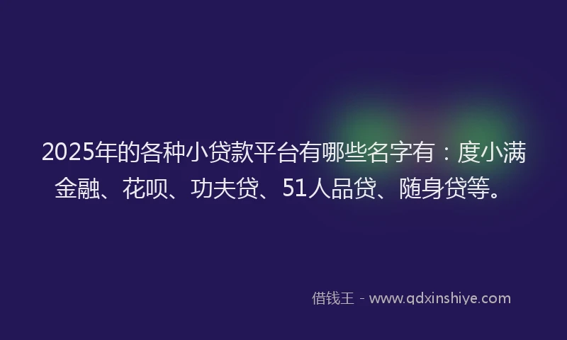 2025年的各种小贷款平台有哪些名字有：度小满金融、花呗、功夫贷、51人品贷、随身贷等。