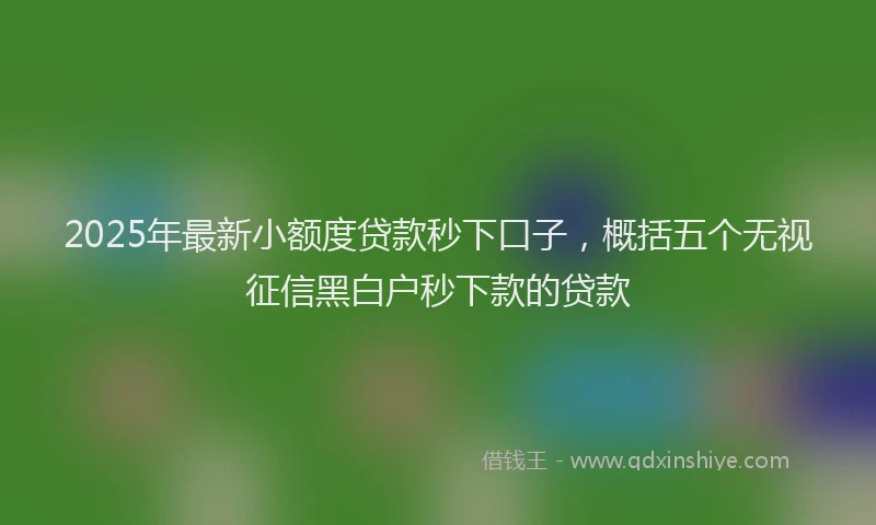 2025年最新小额度贷款秒下口子，概括五个无视征信黑白户秒下款的贷款