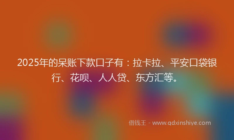 2025年的呆账下款口子有：拉卡拉、平安口袋银行、花呗、人人贷、东方汇等。