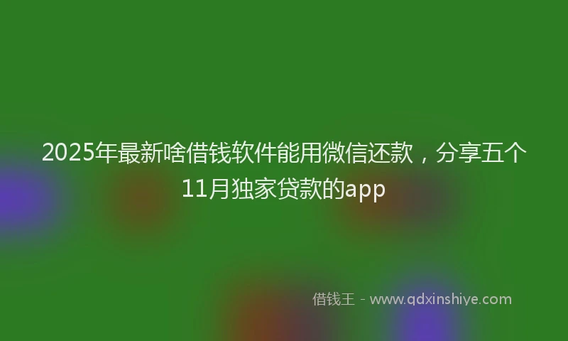 2025年最新啥借钱软件能用微信还款，分享五个11月独家贷款的app