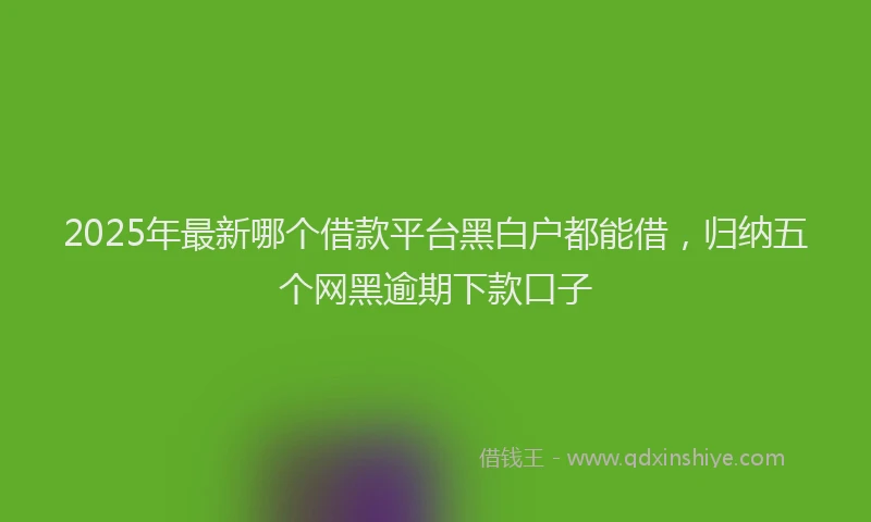 2025年最新哪个借款平台黑白户都能借，归纳五个网黑逾期下款口子