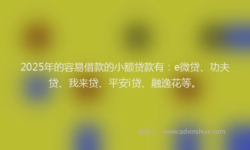 2025年的容易借款的小额贷款有：e微贷、功夫贷、我来贷、平安i贷、融逸花等。