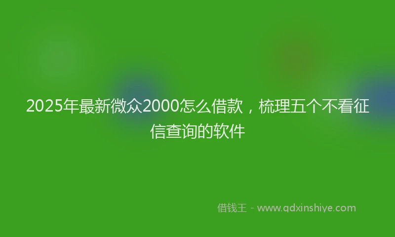 2025年最新微众2000怎么借款，梳理五个不看征信查询的软件