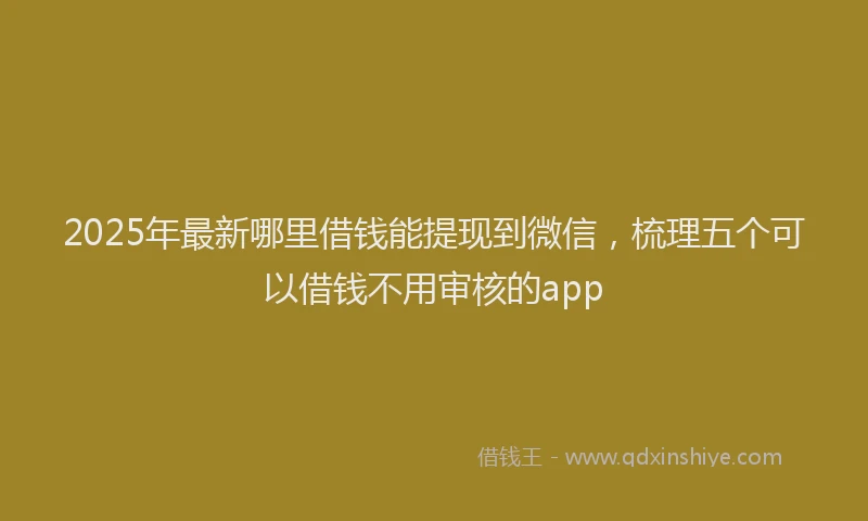 2025年最新哪里借钱能提现到微信，梳理五个可以借钱不用审核的app
