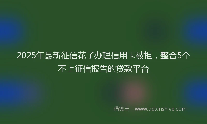 2025年最新征信花了办理信用卡被拒，整合5个不上征信报告的贷款平台