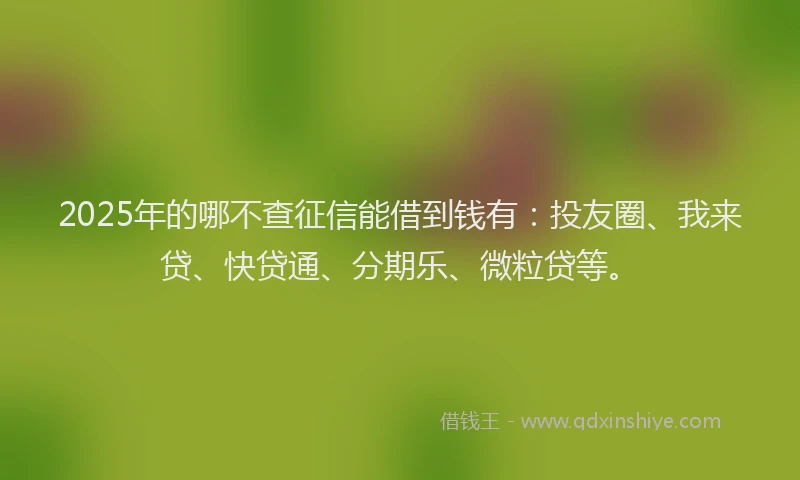 2025年的哪不查征信能借到钱有：投友圈、我来贷、快贷通、分期乐、微粒贷等。