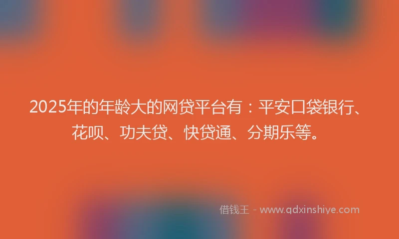 2025年的年龄大的网贷平台有：平安口袋银行、花呗、功夫贷、快贷通、分期乐等。