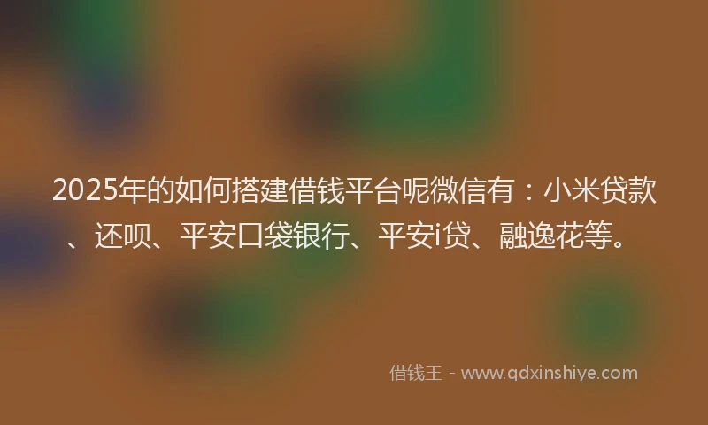 2025年的如何搭建借钱平台呢微信有：小米贷款、还呗、平安口袋银行、平安i贷、融逸花等。
