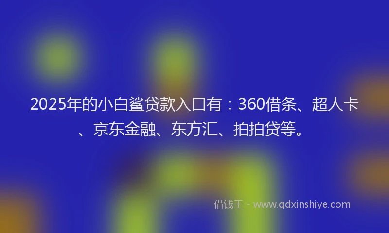 2025年的小白鲨贷款入口有：360借条、超人卡、京东金融、东方汇、拍拍贷等。