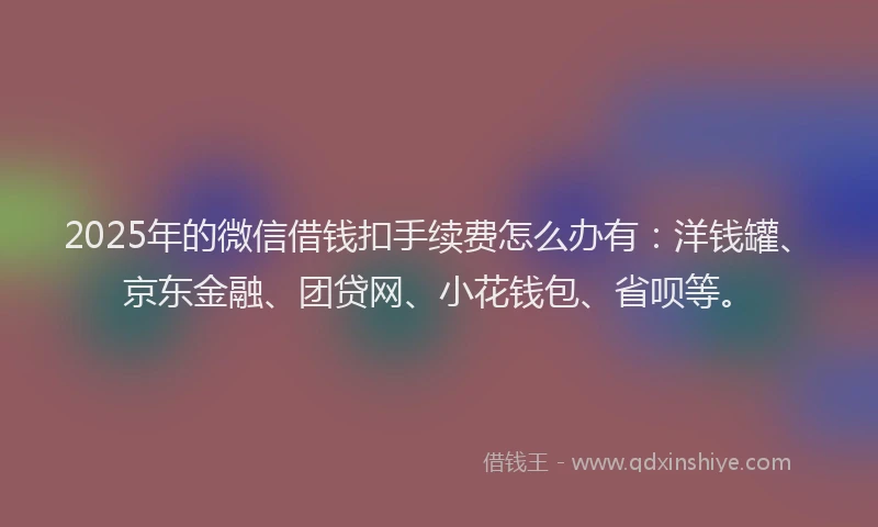 2025年的微信借钱扣手续费怎么办有：洋钱罐、京东金融、团贷网、小花钱包、省呗等。