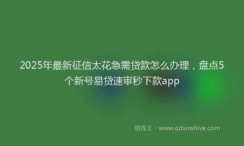 2025年最新征信太花急需贷款怎么办理，盘点5个新号易贷速审秒下款app