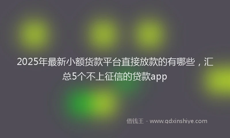 2025年最新小额货款平台直接放款的有哪些，汇总5个不上征信的贷款app
