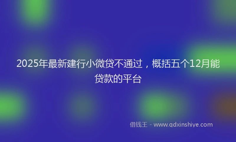 2025年最新建行小微贷不通过，概括五个12月能贷款的平台