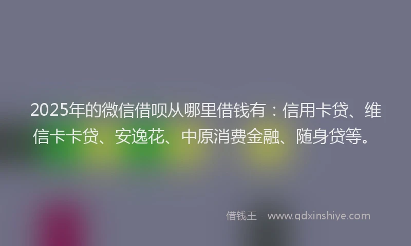2025年的微信借呗从哪里借钱有：信用卡贷、维信卡卡贷、安逸花、中原消费金融、随身贷等。