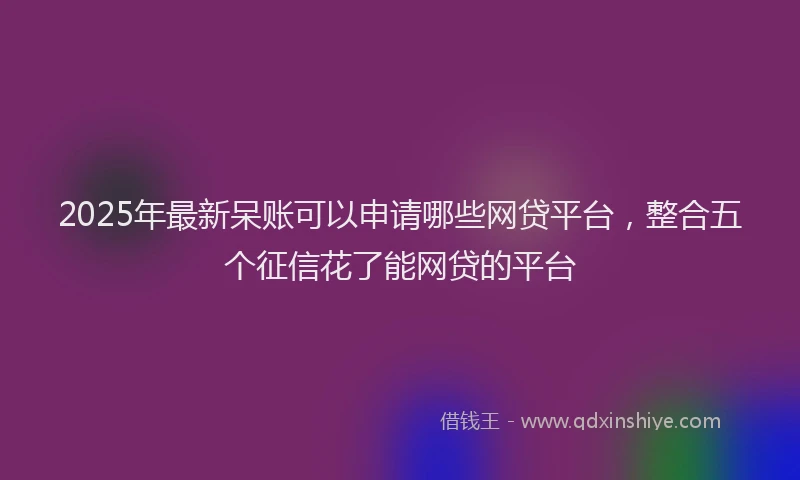 2025年最新呆账可以申请哪些网贷平台，整合五个征信花了能网贷的平台