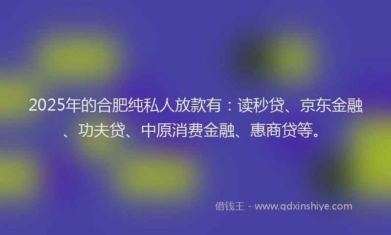 2025年的合肥纯私人放款有：读秒贷、京东金融、功夫贷、中原消费金融、惠商贷等。