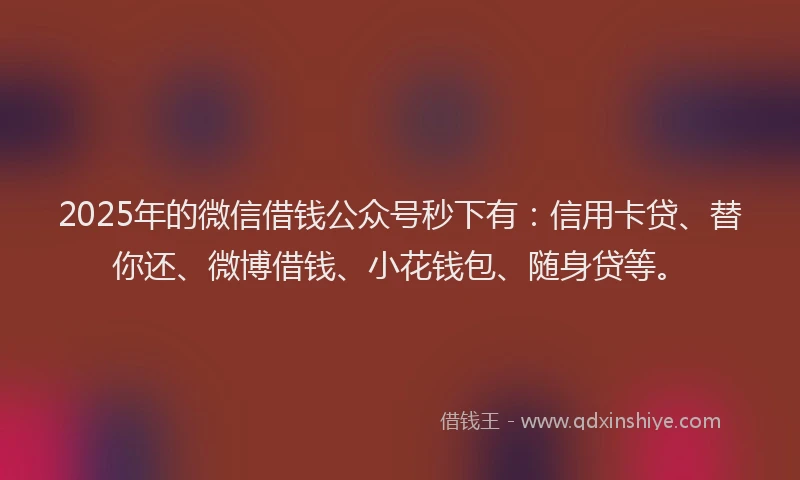2025年的微信借钱公众号秒下有：信用卡贷、替你还、微博借钱、小花钱包、随身贷等。