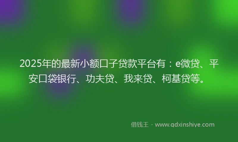 2025年的最新小额口子贷款平台有：e微贷、平安口袋银行、功夫贷、我来贷、柯基贷等。