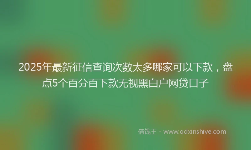 2025年最新征信查询次数太多哪家可以下款，盘点5个百分百下款无视黑白户网贷口子