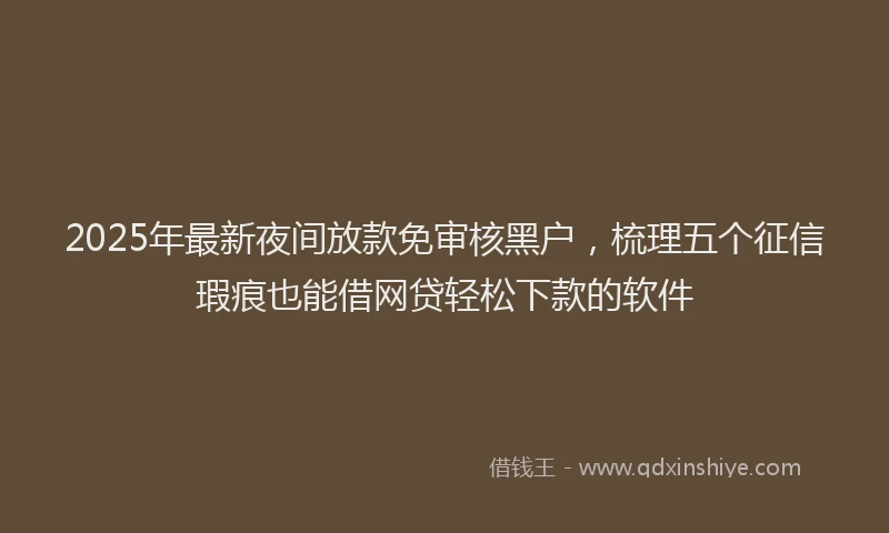 2025年最新夜间放款免审核黑户，梳理五个征信瑕疵也能借网贷轻松下款的软件