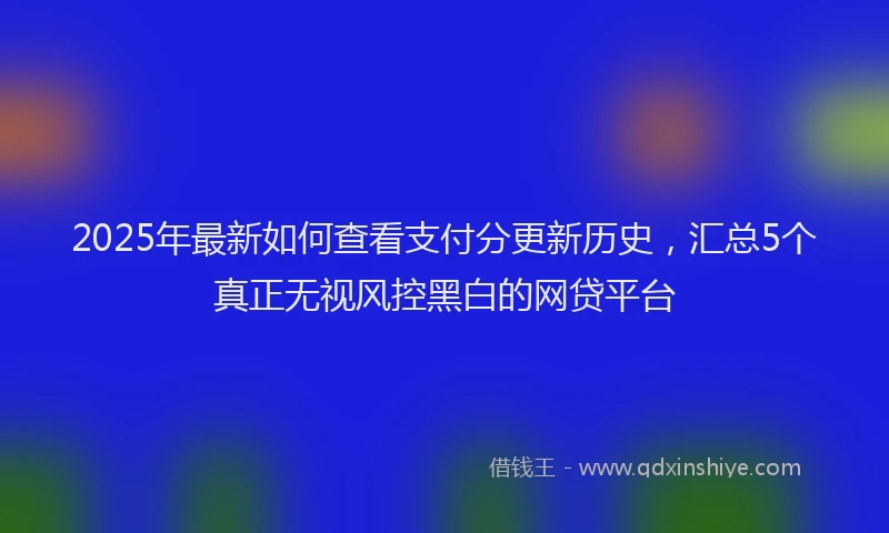 2025年最新如何查看支付分更新历史，汇总5个真正无视风控黑白的网贷平台