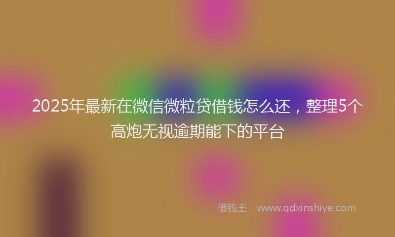 2025年最新在微信微粒贷借钱怎么还，整理5个高炮无视逾期能下的平台