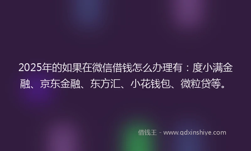 2025年的如果在微信借钱怎么办理有：度小满金融、京东金融、东方汇、小花钱包、微粒贷等。